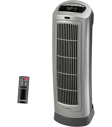 Dyson AM05 Hot + Cool Fan Heater, Black/Nickel : Amazon.ca: Home