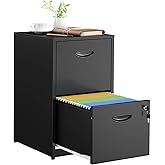 SteeLoong 2 Drawer File Cabinets,Metal Office File Cabinet with Lock,Black | Filing Cabinet for Home Office,Vertical Modern File Cabinet Office Two Drawers for Hanging Letter,Assembly Required