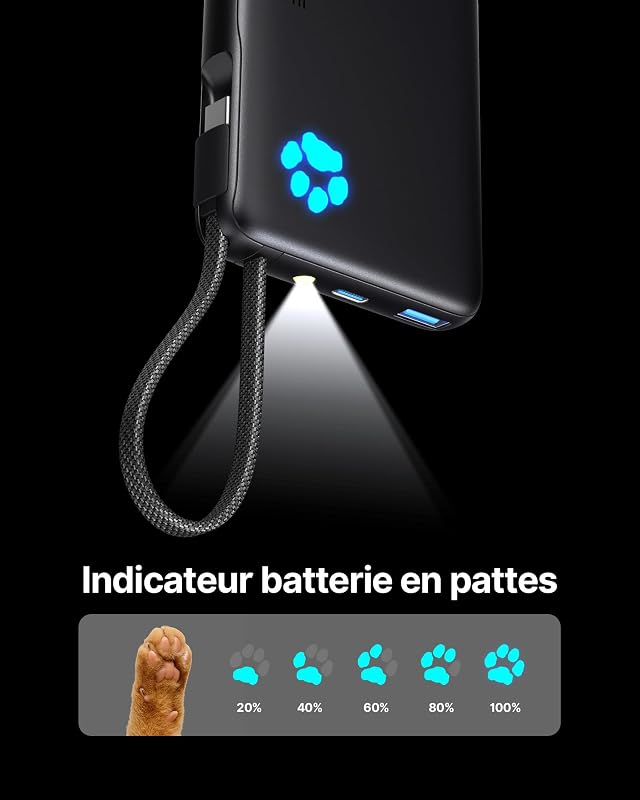 45W Batterie Externe, 10000mAh Power Bank avec USB C Câbles Intégrés