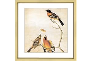 BKABOT 6x6 Picture Frame, Brass Metal Photo Frames with HD Glass, Fits 5x5 with Mat or 6 x 6 without Mat, Display for Wall and Table, 1 Pack