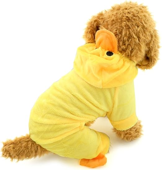 yellow dog jumper