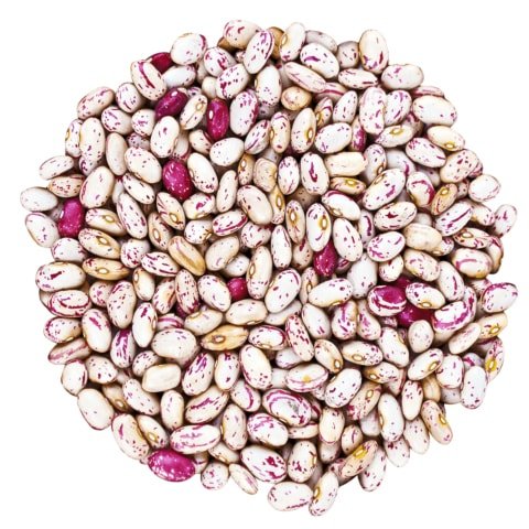 Organic Cranberry Beans by Food to Live (Dried Borlotti Beans, Non-GMO Seeds, Kosher, Raw Romano Beans in Bulk, Product of the USA) — 5 Pounds