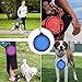 BLEDS Collapsible Dog Bowl, 2 Pack Small Dog Travel Bowls for Pet Cats Dogs, Pet Feeding Watering Bowls for Hiking Camping Includes 2 Carabiners (Blue + Red)