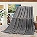 Shilucheng Luxury Fleece Blanket Super Soft and Warm Fuzzy Plush Lightweight King Couch Bed Blankets - Grey