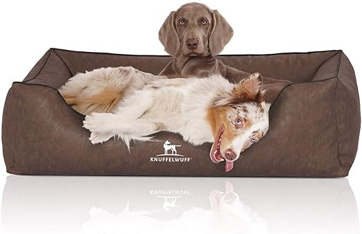 Leather dog bed amazon Clearance