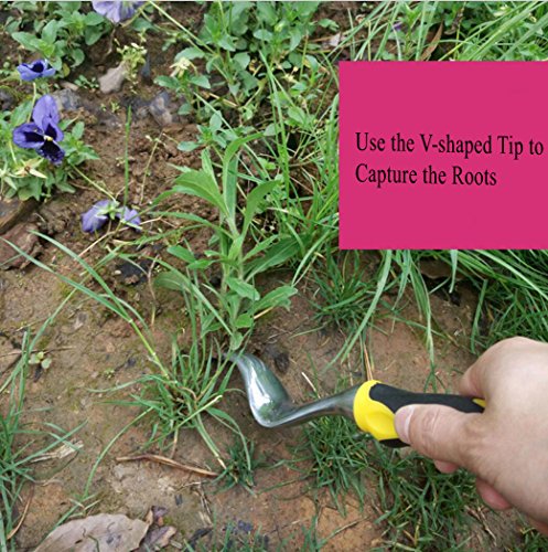 Hand Weeder Tool,Garden Weeding Removal,Cutter Tools with Ergonomic Handle,as Best Dandelion Digger,Weed Puller & Cultivator for Your Flower and Vegetable Plants Care on Lawn,Yard.(Weeder)