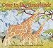 Over in the Grasslands: On an African Savanna