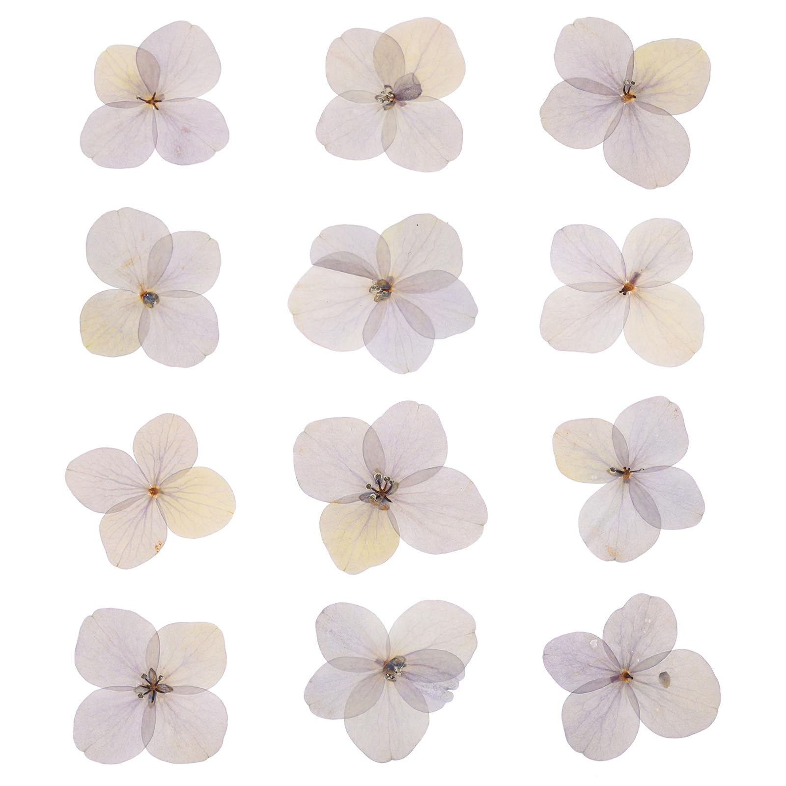 PATIKIL Dried Pressed Flower, 48 Pcs for Resin DIY Crafts Nail Art Cards Scrapbooking Jewelry Making Floral Decor Candle Decors, Pink Purple