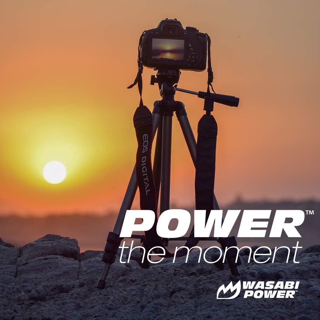Wasabi Power Battery (2-Pack) and Dual Charger for Canon LP-E8 : Camera & Photo