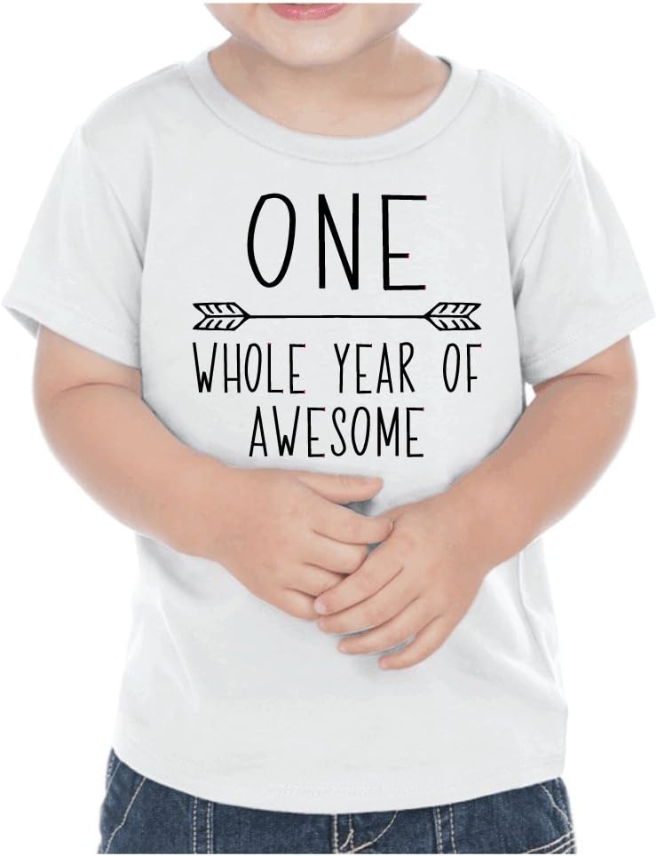 First Birthday Boy T-Shirt One Year Old Birthday Boy Outfit