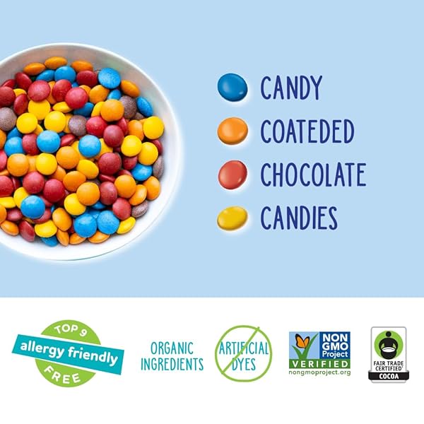 YUMEARTH CHOCO YUMS, 5-0.7 OUNCE SNACK PACKS, ALLERGY FRIENDLY, GLUTEN FREE, NON-GMO, VEGAN, NO ARTIFICIAL FLAVORS OR DYES (3.5 OUNCE (PACK OF 1))