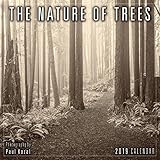 The Nature of Trees 2019 Mini Calendar by
