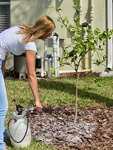 BLACK DIAMOND COATINGS PRO LANDSCAPE SERIES Mulch Binder (5 Gallon, Red)
