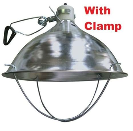 Amazoncom Deluxe Brooder Lamp Fixture For Chicken Coop Hen House