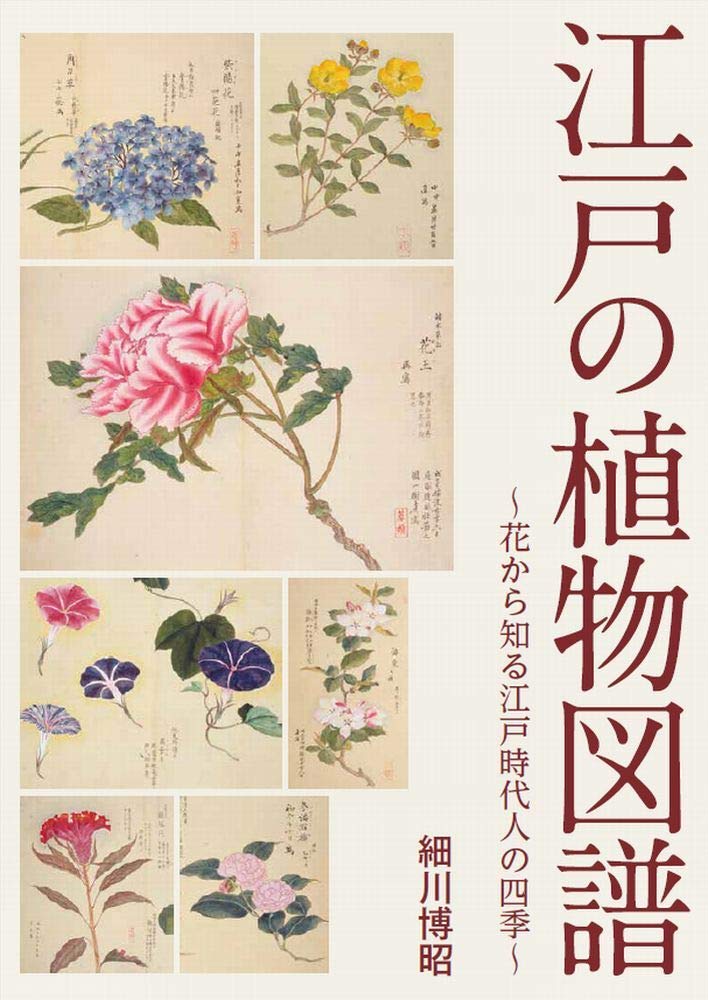 江戸の植物図譜 花から知る江戸時代人の四季 細川博昭 本 通販 Amazon