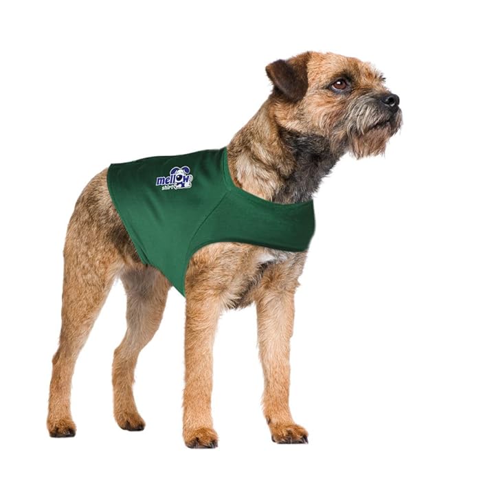 How Do You Wrap A Dog With Anxiety