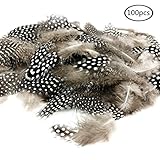 JPSOR 100pcs 2