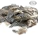 JPSOR 100pcs 2