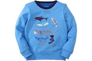 Akyzic Boys Sweatshirts Cotton Long Sleeve Crewneck Pullover Toddler Kids Winter Warm Shirt Sweater Tops 3t-8t