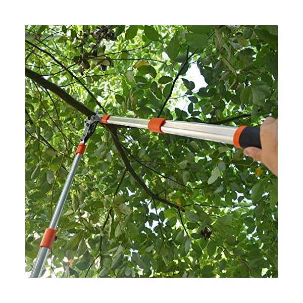 Paick Garten Teleskop-Astschere 690mm - 1024mm einstellbar Teleskopierbare Bypass-Baumschere, Getriebeastschere für… – Bild 7