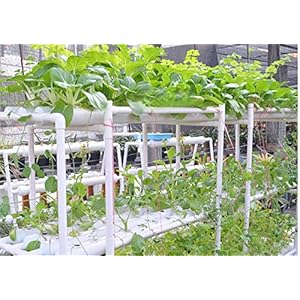Hydroponic Systems