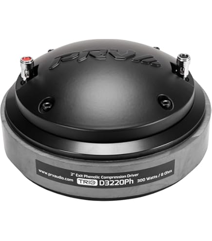 Amazon.com: DS18 PRO-D22PH.8 2