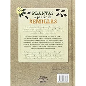 Plantas a partir de semillas: JardinerÃ­a en recipientes y macetas