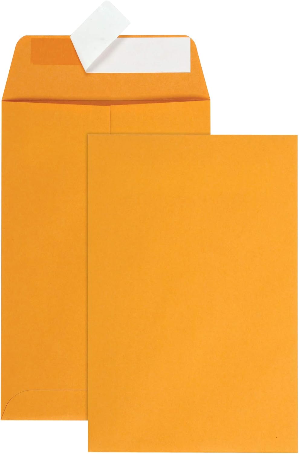 Quality Park, Catalog Envelope, Redi-Strip, White, 6x9, 100 per box (44182) : Office Products