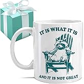 It Is What It Is And It Is Not Great - Racoon Mug - Office Mug Office Coworker Birthday Gift for Him Her – Funny Raccoon Gifts for Best Friend Bestie - Work Gifts for Coworker