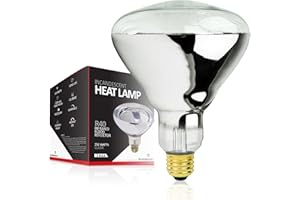 BULBMASTER 250 Watts R40 Clear Heat lamp Light Bulbs Infrared Flood Incandescent 250R40/HR Medium E26 Base 1 Pack