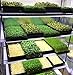 Bootstrap Farmer Mesh Bottom 1020 Trays - 5 Pack Extra Strength Microgreens Soil Blocks Hyroponics