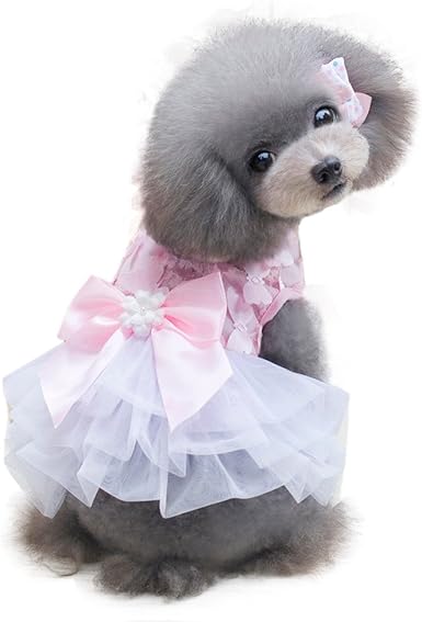 amazon cosas para perros