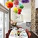 Rainbow Birthday Decorations Rainbow Party Supplies Tissue Paper Pom Pom Paper Garland for Baby Shower Decorations/Birthday Party Decorations/Back to School Party Decorations