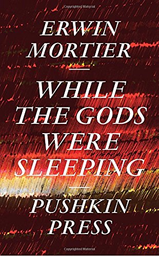 While the Gods Were Sleeping