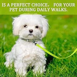 DOYOO 2 Pack Puppy Dog Leash Cat Leash, Strong and