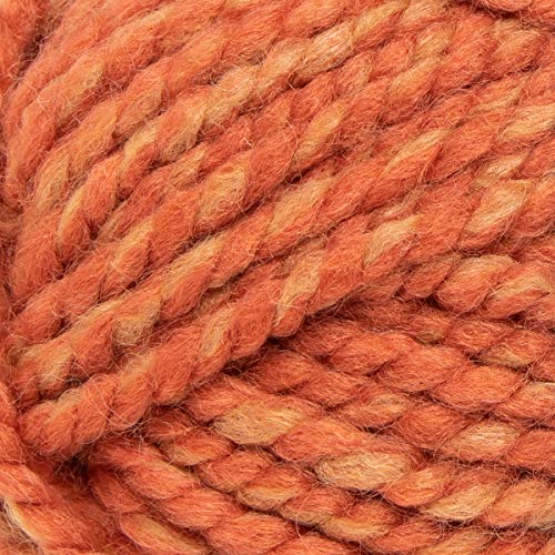 2 Lion+Brand+Yarn+Knitting+Crocheting