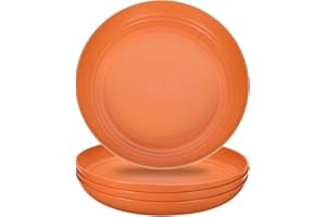 uxcell 4Pcs Plastic Plates Set, 10 Inch Unbreakable Dinner Plates Set Plastic Plates Reusable Dishwasher & Microwave Safe for