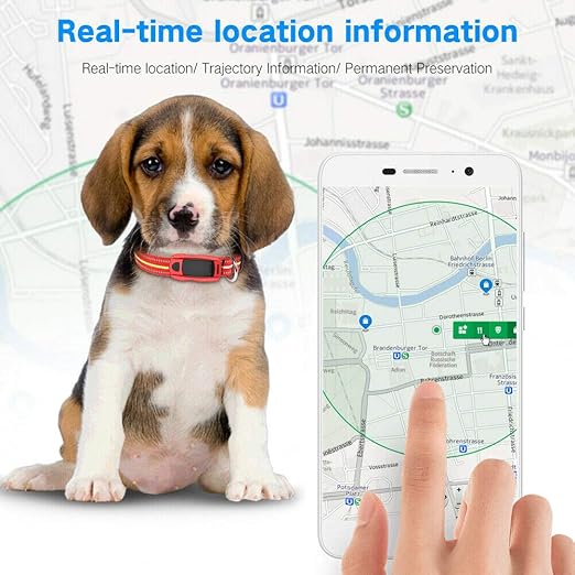 small dog tracking collar