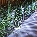 Logical Luxury Decorative Outdoor Solar Garden Lights (10 Pack) enhances Pathways driveways patios and gazebos; Classic Simple Stainless Steel Design; Soft White LED Powered; Water/Weatherproof