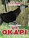 THE OKAPI Do Your Kids Know This?: A Children's Picture Book (Amazing Creature Series) (Volume 60)