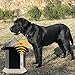 CY Ultrasonic Outdoor Dog Bark Controller Anti Barking House No Barking Household Training Tool Device in Birdhouse Shape (Black)