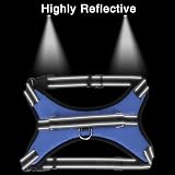 FYY No Pull Dog Harness Breathable Adjustable Vest Reflective M Blue view 5