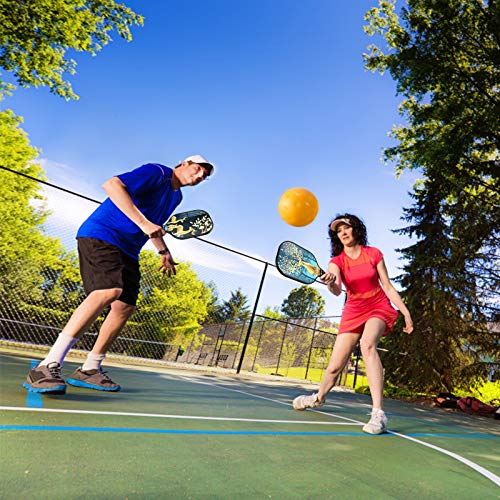 Osilifen Pickleball Paddle Graphite Pickleball Racket with Graphite Carbon Fiber Face, Polypropylene Honeycomb Core, Ultra Cushion, Lightweight 7.9OZ with Cover, Ideal for Beginners Christmas elk