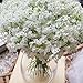 Bringsine Baby Breath Gypsophila White Fake Artificial Flowers for Wedding Bride Party Home Outdoor Home Decor 60 Pieces/Pack