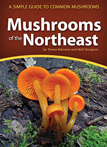 Mushrooms of the Northeast: A Simple Guide to Common Mushrooms (Mushroom Guides) - Thumbnail 3