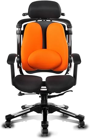 Amazon Hara Chair ハラチェアー ニーチェlb 分離型座面による圧力分散 腰の前彎曲誘導 並行輸入品 デスク チェア 文房具 オフィス用品