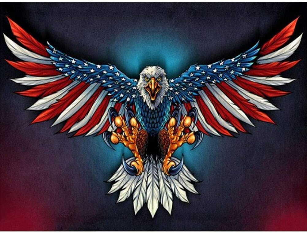 Paint According To the Number set Paint Diy Children and Adult Oil Painting,American Flag Eagle