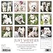 Just Westies 2019 Wall Calendar (Dog Breed Calendar)
