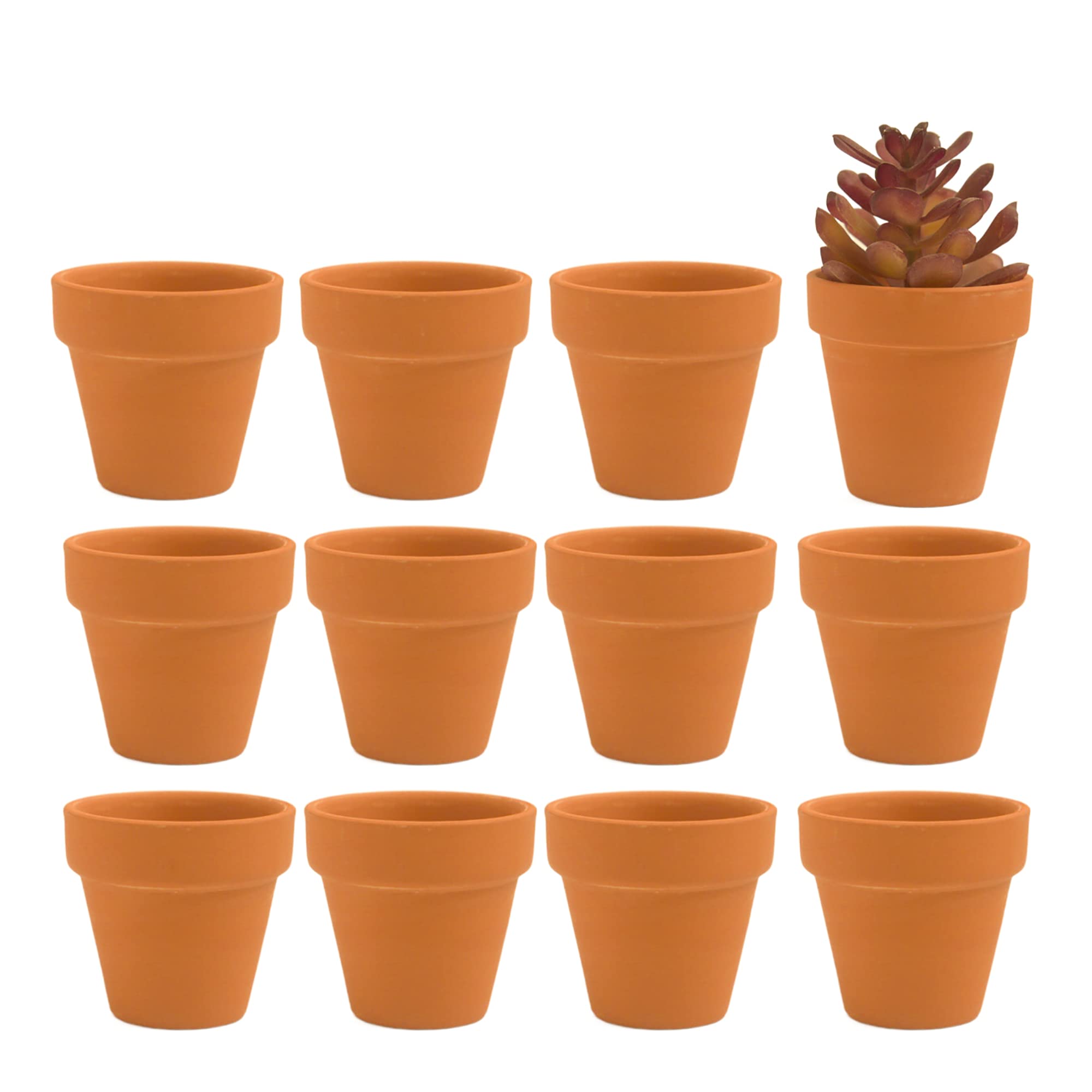 Photo 1 of Fcacti 12 PCS Small Mini Clay Pots with Drainage Holes for Plants,2.5inch Terra Cotta Pot Clay Ceramic Pottery Planter,Succulent Nursery Pot/Cactus Plant Pot,for Indoor/Outdoor Plants,Crafts