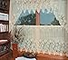 Heritage Lace Woodland 68-Inch Wide by 40-Inch Drop Swag Pair, Ecru